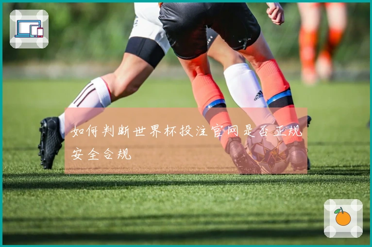 如何判断世界杯投注官网是否正规安全合规