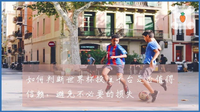 如何判断世界杯投注平台是否值得信赖，避免不必要的损失