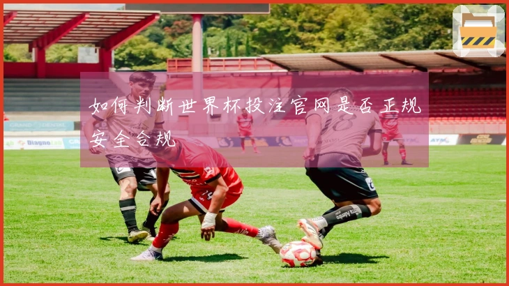 如何判断世界杯投注官网是否正规安全合规