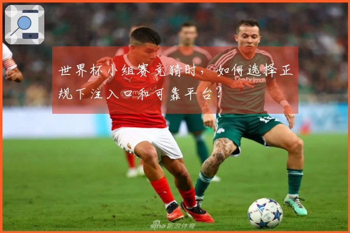 世界杯小组赛竞猜时，如何选择正规下注入口和可靠平台？