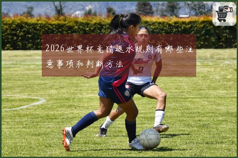 2026世界杯竞猜返水规则有哪些注意事项和判断方法