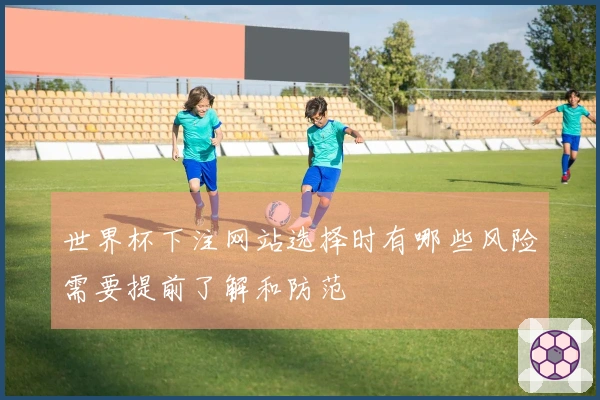 世界杯下注网站选择时有哪些风险需要提前了解和防范