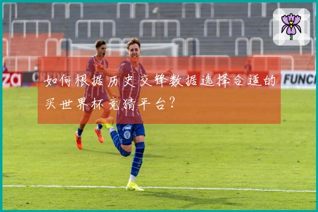 如何根据历史交锋数据选择合适的买世界杯竞猜平台？