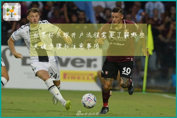 世界杯买球开户流程需要了解哪些关键步骤和注意事项