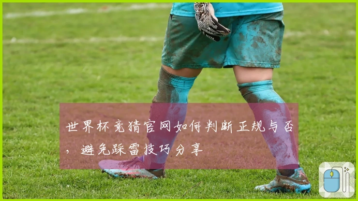 世界杯竞猜官网如何判断正规与否，避免踩雷技巧分享 - pg游戏资讯