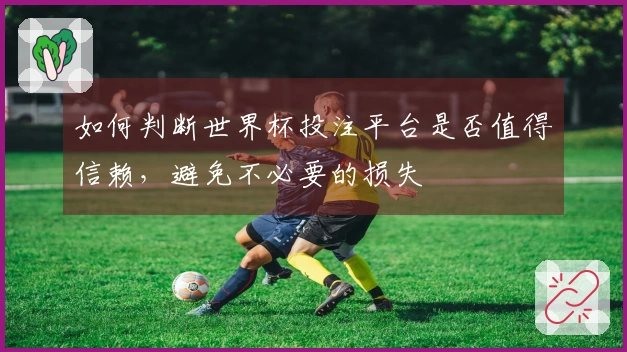 如何判断世界杯投注平台是否值得信赖，避免不必要的损失